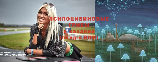 дурь Михайлов