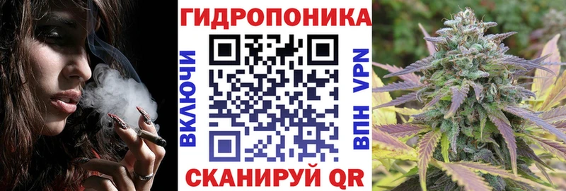 купить наркотики сайты  Николаевск-на-Амуре  Шишки марихуана SATIVA & INDICA 